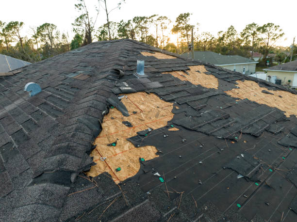Best 4 Ply Roofing  in Bright, IN