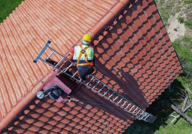 Best Roof Moss and Algae Removal  in Bright, IN