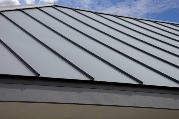 Best Roof Insulation Installation  in Bright, IN