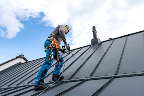 Best Roof Maintenance and Cleaning  in Bright, IN